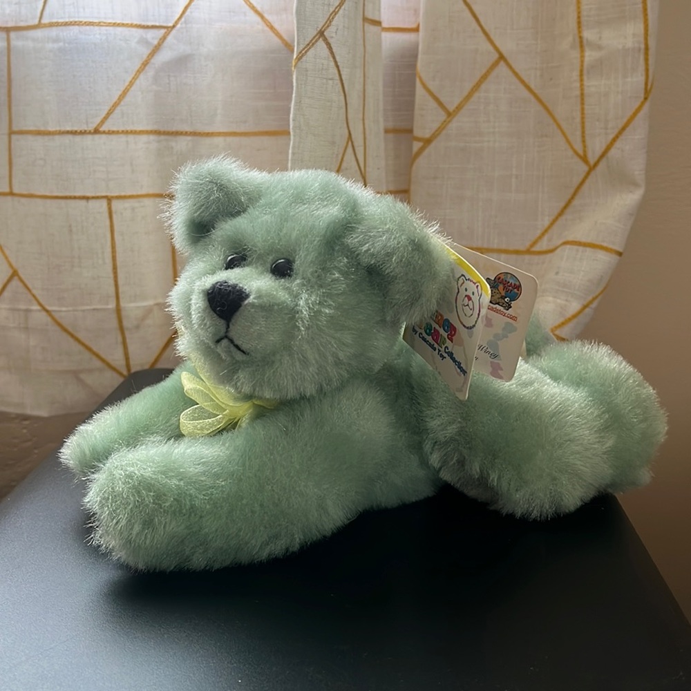 Perfect Condition Mint Green ‘Candi’ Winey Bear late 90s/early 2000s